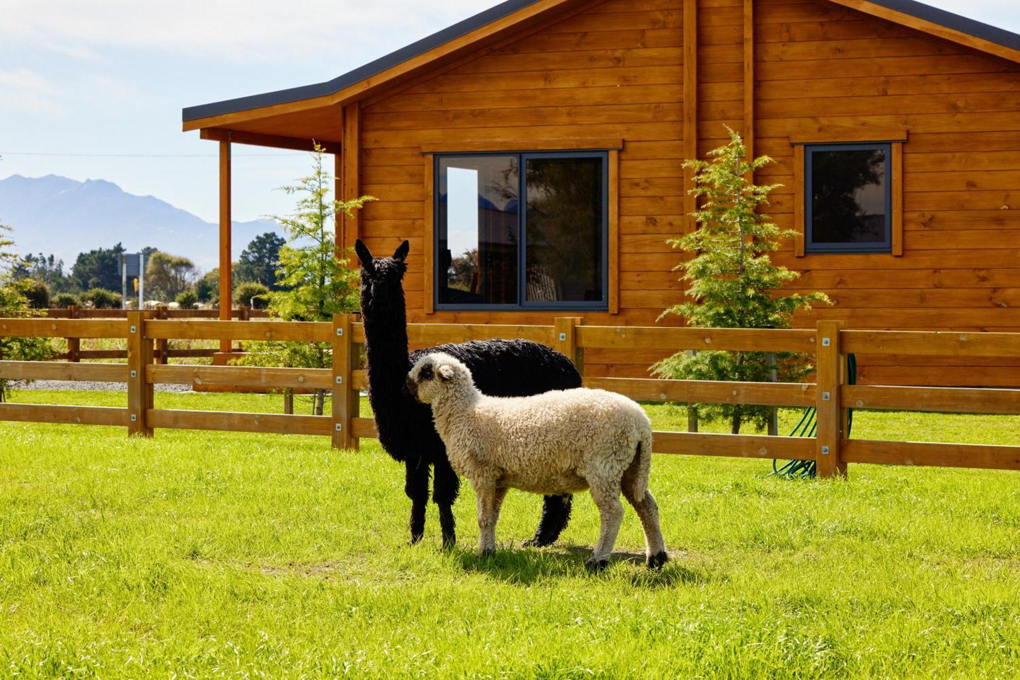 Deerbrooke Kaikoura Chalets - Chalet 1 Екстер'єр фото